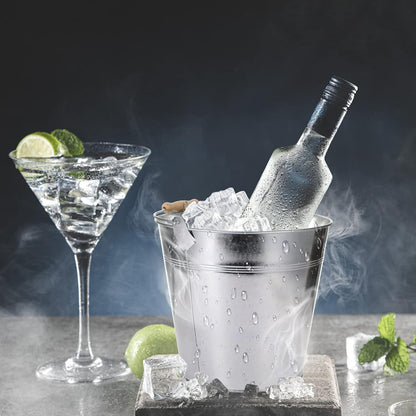 Didaey 12 Pcs Galvanized Metal Beer Buckets, Handle,Silver